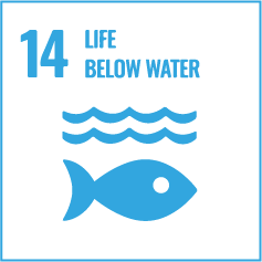 Kehidupan di Bawah Air